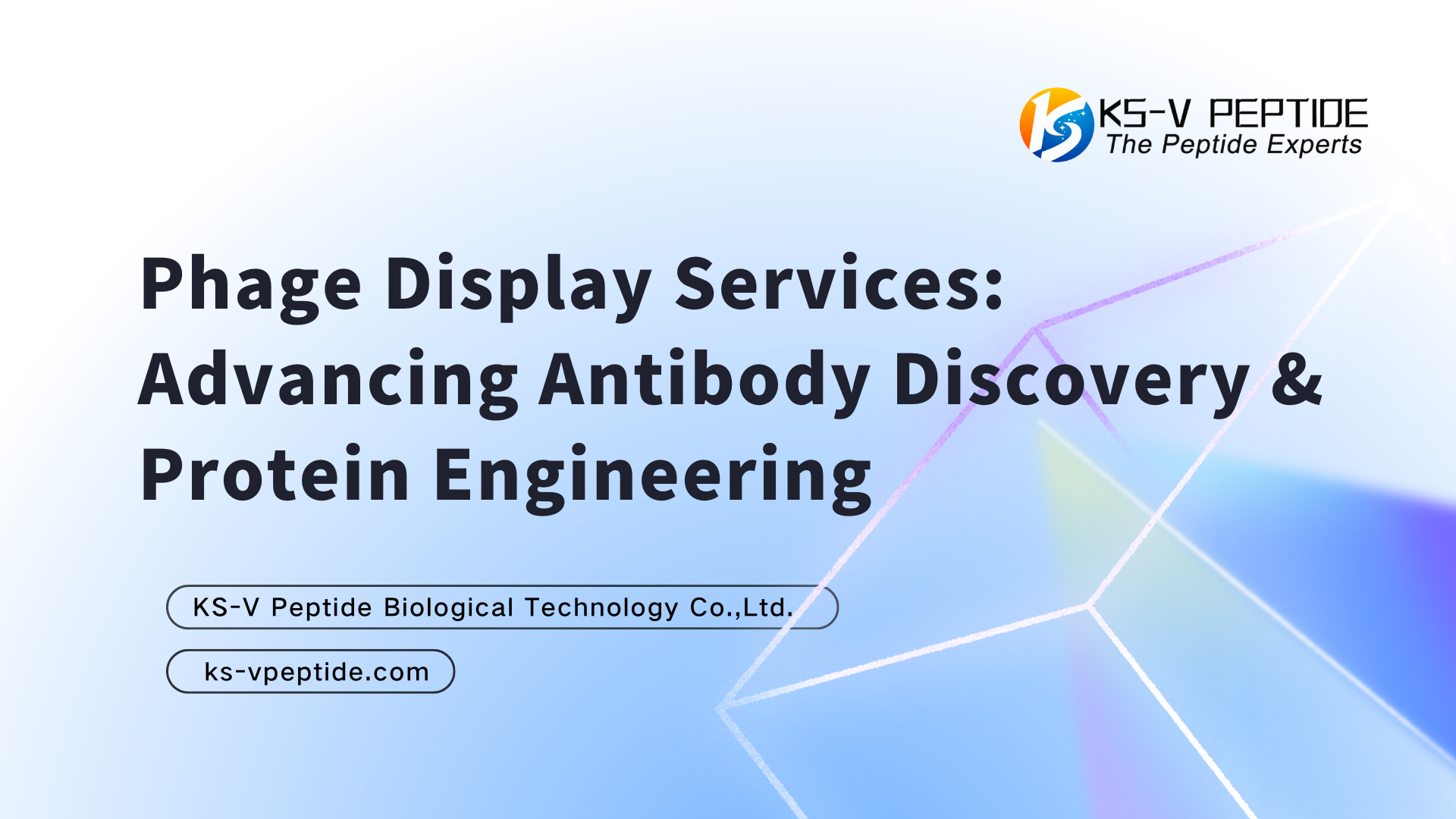 Phage Display Services: Advancing Antibody Discovery & Protein Engineering